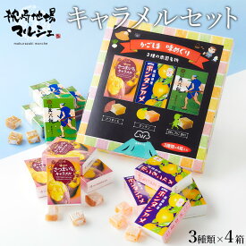 【2,000円以上送料無料 20%OFFクーポン】 セイカ食品 かごしま味めぐり ボンタンアメ・さつまいもキャラメル・兵六餅 3種類 各8粒箱×4個入 お菓子 鹿児島銘菓 お土産