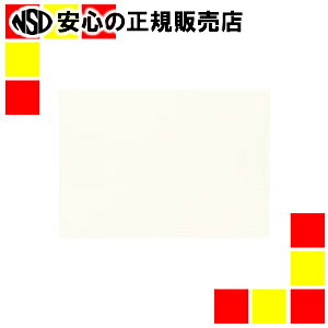 �s �����e�b�N �t �F��p��R8�c��100���x�[�W�� NC138-8