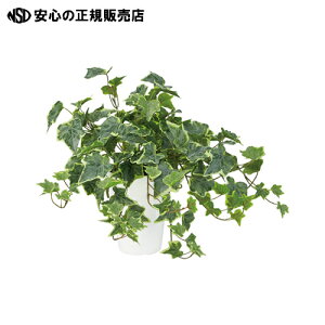  kԍ lH OCVAACr[ 90853