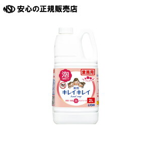 s CI t LCLCAnh\[v2L t[c