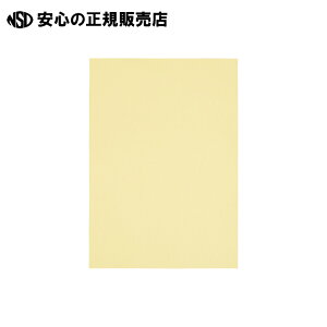 �s �X�}�[�g�o�����[ �t �J���[�y�[�p�[����A3 CREAM1000�� A285J-2
