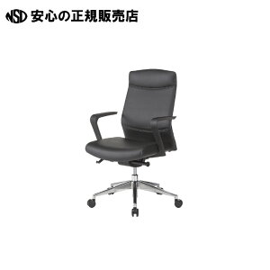 �s �A�C�R �t �����C�X RS-2485 BK ���[�o�b�N