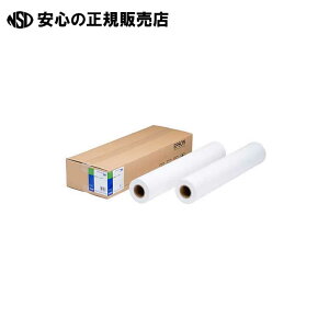 ʎ[qrEPPP90A1 50m@s EPSON t