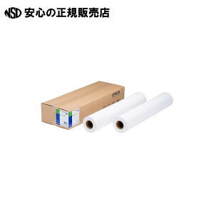 ���ʎ����[���q����rEPPP90A0 50m�@�s EPSON �t