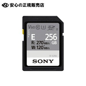 SDXCJ[h256GB SF-E256@s \j[ t