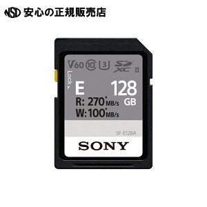 SDXCJ[h128GB SF-E128@s \j[ t