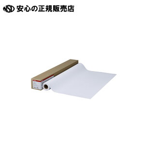 �����R�[�g��HG LFM-CPH/36/145 1�{���@�s �L���m�� �t