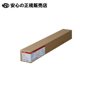 �����R�[�g��HG LFM-CPH-24-145 1�{�@�s �L���m�� �t