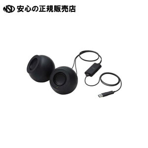 Xs[J[Sina Type-C SP-P10CUSBBK @s GR t