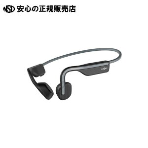 ���`���C���z�� AFT-EP-000022 �sSHOKZ�t