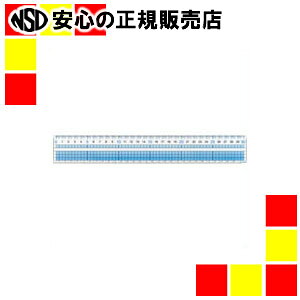レイメイ藤井 見やすい方眼定規 30cm AJH308