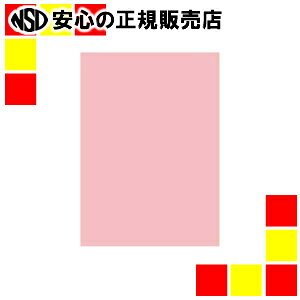 kz ItBXpJ[R100 A5sN500*10