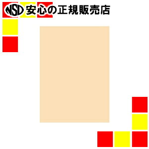 kz ItBXpJ[R100 A4AC{500*5