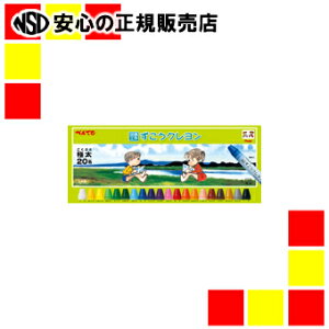 s؂Ăt N 20F PTCG1-20 10g