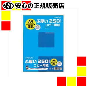 sLNgEEA\VGCct ԌRs[pPPC250A4