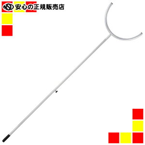 spYƁt ܂ Ȃ J^Cv 4813