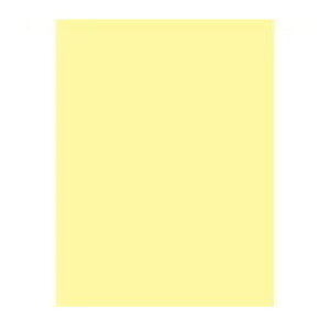 剤 }`J[ CW-620C A4 N[ 500