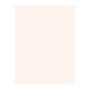 �剤���� �}���`�J���[�� CW-620C A4 ������ 500��