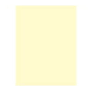 剤 }`J[ CW-620C A4  500