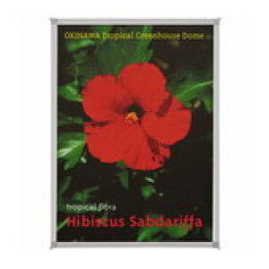 WCebNX }`pl 10 B193J-A3