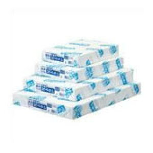 WCebNX Rs[y[p[J2  B4 2500A066J