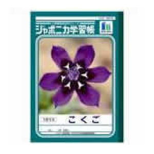 VEm[g  JL-10-2 18}X 10