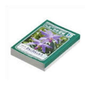 VEm[g K JL-50 100 10