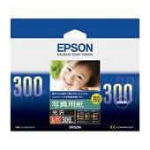 Gv\ ʐ^p  KL300PSKR L 300