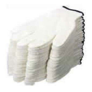 ~^jR[|[V R #600GR  202739