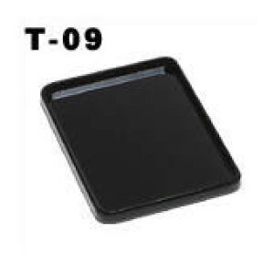 RNg h~E؎~Ei~ T-09 ؐn