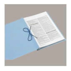 ZLZC ̂с`t@C Rt AE-55 A4S O[