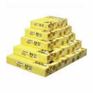 WCebNX Rs[y[p[  B4 2500 A007J