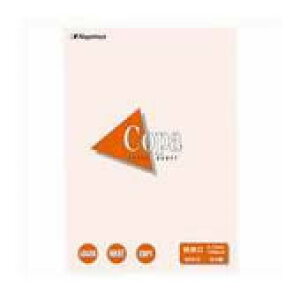 Nagatoya カラーペーパー 特厚口 B5 さくら 50枚