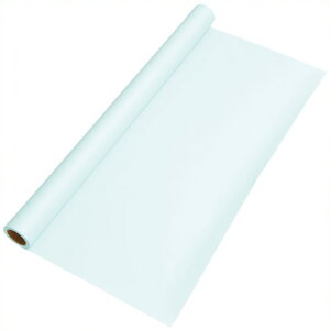 《ゴークラ》 色画用紙 ジャンボロールR 110 うす水