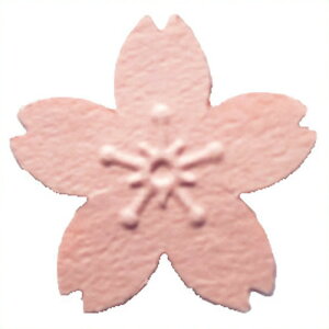 shanaokat G{Xp`  989036-9 4104201G{XTN