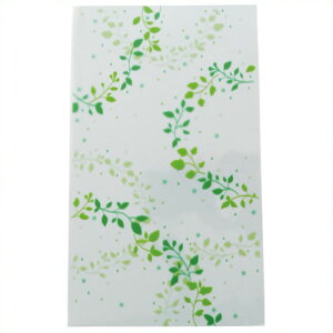 steBAЁt 傱PP܃Ci[[tFK2002 FK2002