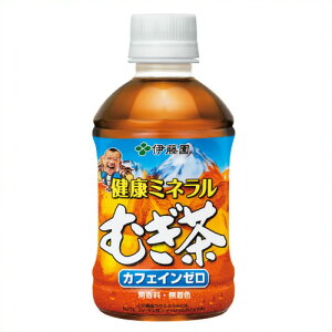 y|Cg3{ }\Ԓzsɓt N~lނPET280ml24{ (204002)@2