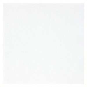 sⒹYƁt tFg 20cmp 10 No703  177-099 177-099