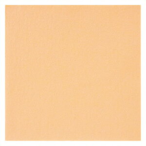 sⒹYƁt tFg 20cmp 10 No336  177-076