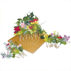 sDLMt ԂŃK[fjOA CA001 CA001