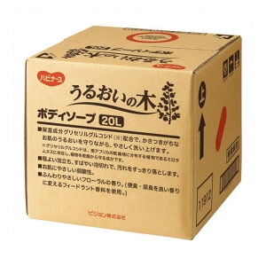 ssWt 邨̖؁@{fB\[v@20L