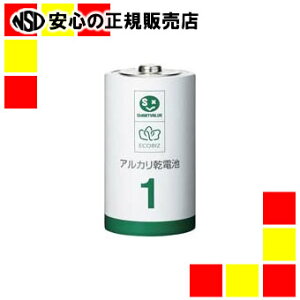 WCebNX AJdrIIIP1×100{N211J-10P-10