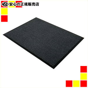 �s FLOORTEX �t �h�A�}�b�g 49120DCBWV 1200×900mm ��/��