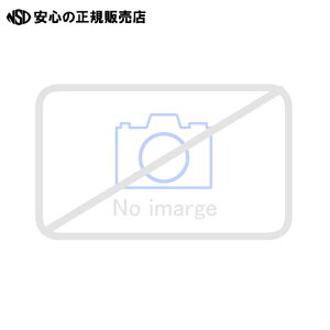 s GBC(AREuY) t XgbNJo[202^[NA iԁFP22LTBZ-CL