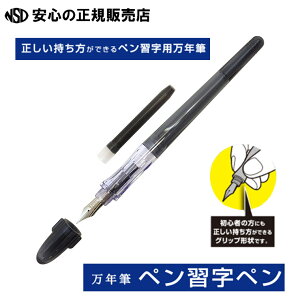 yzPILOT NM yKy gECubN P-FP-60R-TB-EF ̂łAGSm~NXilԍHwIjObv̗pI