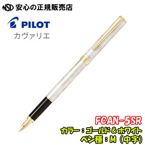 spCbg(PILOT)t NM@J@G@FCAN-5SR e אgŏdȃ}[ufUC̏NMł