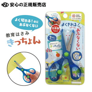 sNct͂  e SS117J͂⏕XvOŁAア͂ł؂܂PK̂ɂ؂n(XeX)gpISȎ̐nJo