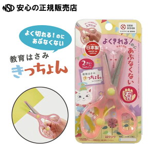 sNct͂  e SS117J͂⏕XvOŁAア͂ł؂܂PK̂ɂ؂n(XeX)gpISȎ̐nJo