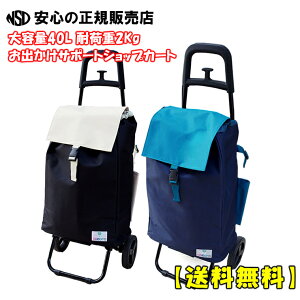 《 レップ 》 ショッピングカートバイカラーW メッシュバッグ付き 大容量40L 耐荷重20Kg 傘ホルダー バック内面全面アルミ張りで保温・保冷効果あり