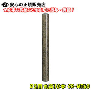 ۓ j͗l B2p 60mm×600mm CR-MT60 cނɌÎgp ƎE\ȂǂŒ܏̕ۊǂɁI NE(CROWN) 